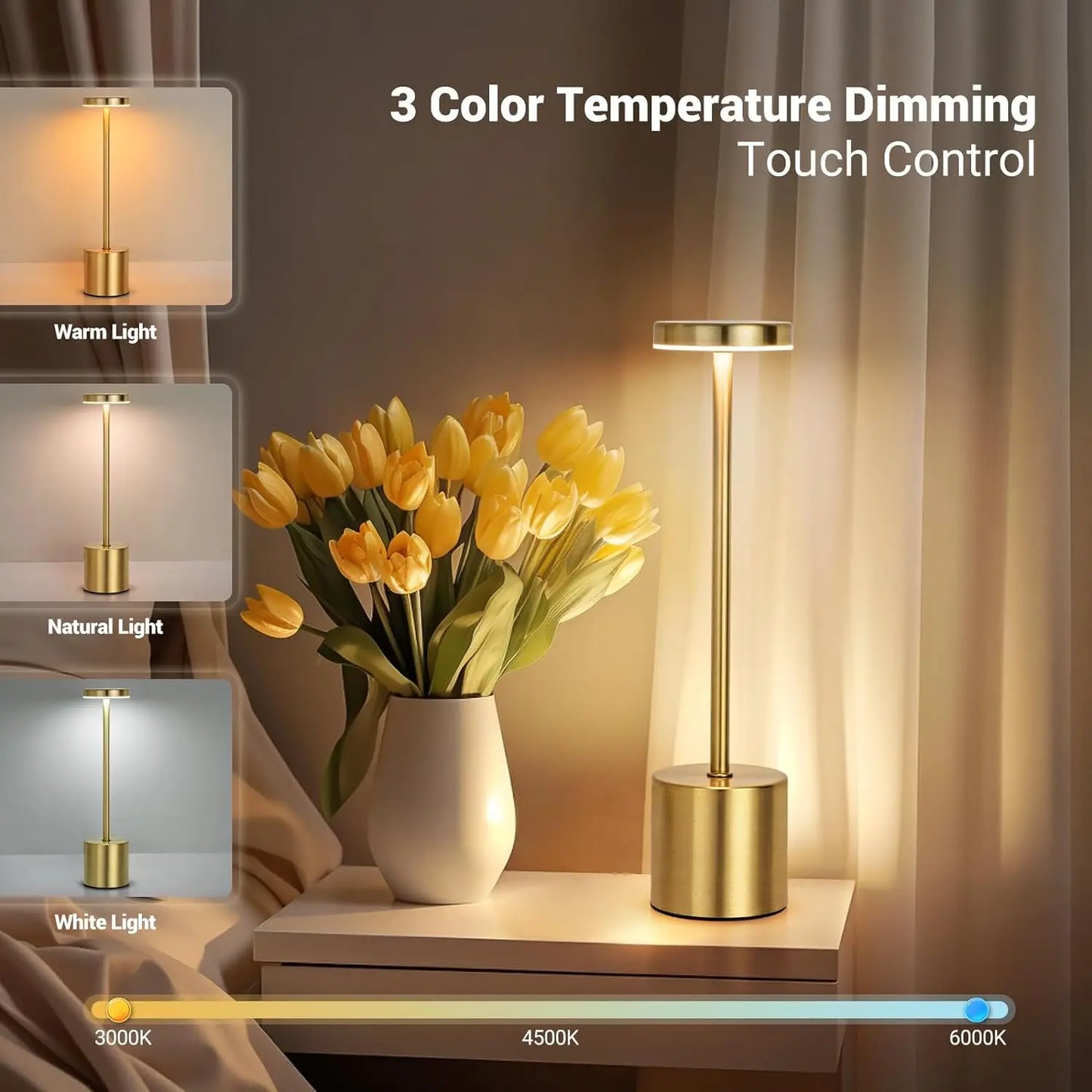 Rechargeable LED Table Lamp: 3 Colors